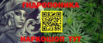 дмт Бийск
