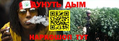 дмт Бийск
