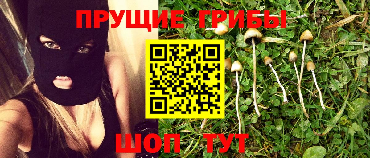 Кингисепп  Псилоцибиновые грибы MAGIC MUSHROOMS  Вход с VPN 